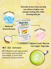 Load image into Gallery viewer, 7 Packs Matcha Barley Bundle + Free Glutakojic Soap